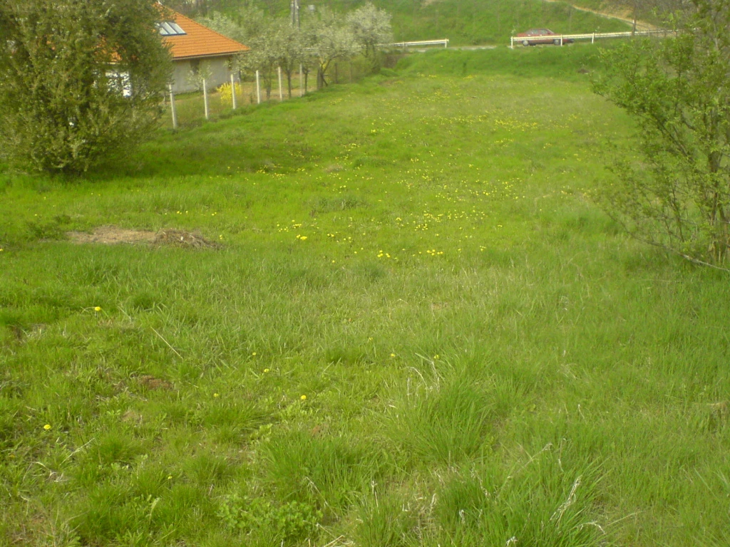 Valkó, Széchenyi utca, 1967 m²-es, telek