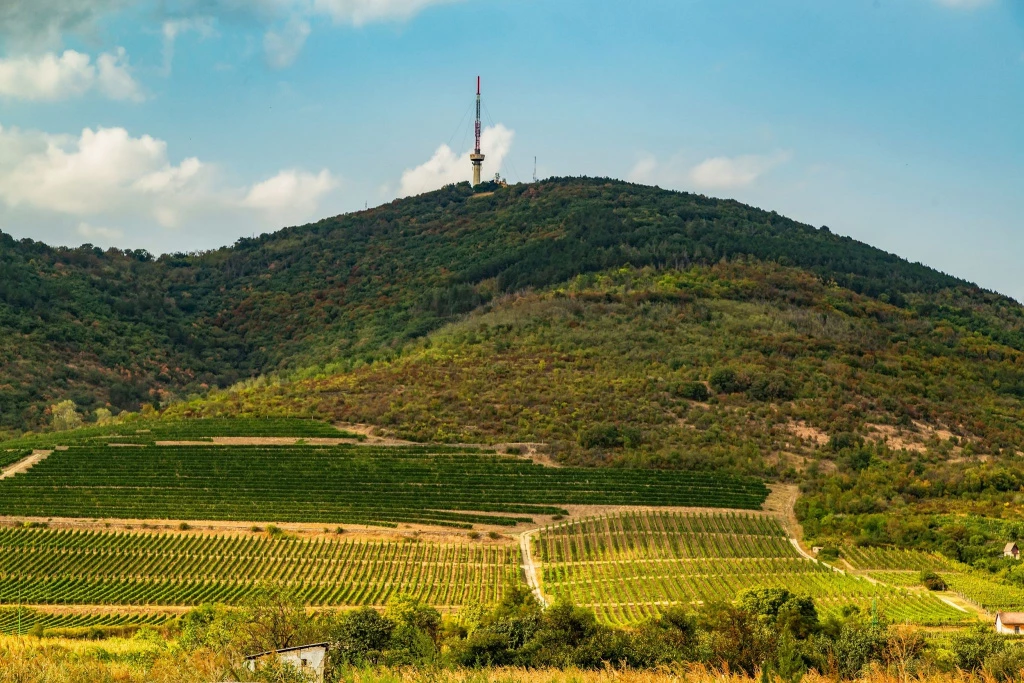 For sale building plot, Tokaj, külterület