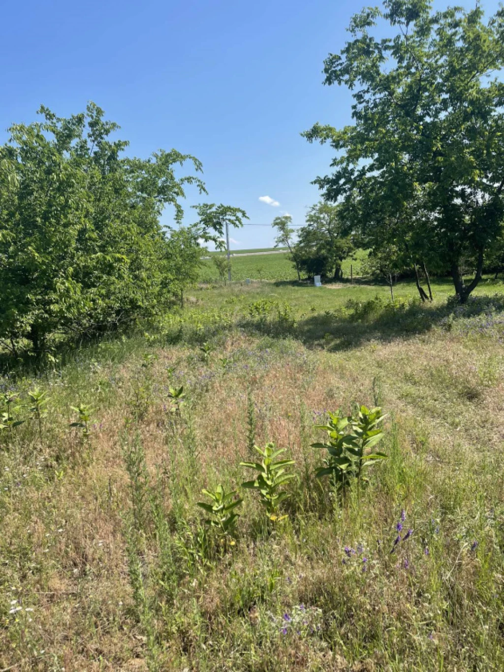 Monor, Természethez központú dűlő, 1579 m²-es, telek