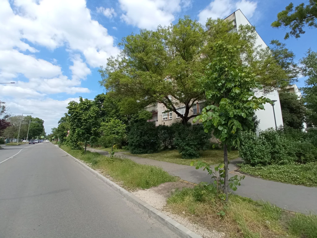 XXI. Kerület, KATONA JÓZSEF utca, 45 m²-es, magasföldszinti, társasházi lakás
