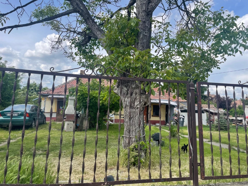 For sale house, Gárdony, Számozott utca utca