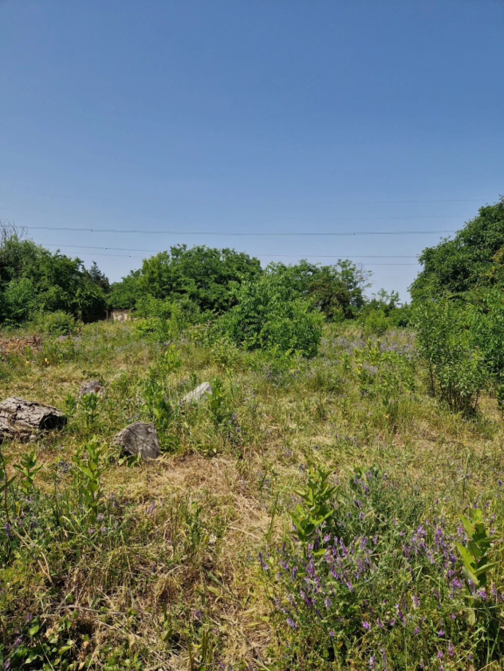 Mogyoród, Pacsirta utca, 1439 m²-es, telek