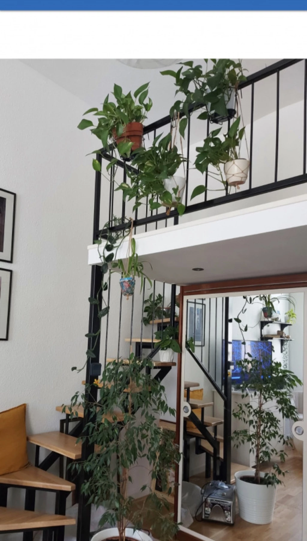VII. Kerület, István utca, 29 m²-es, 2. emeleti, társasházi lakás