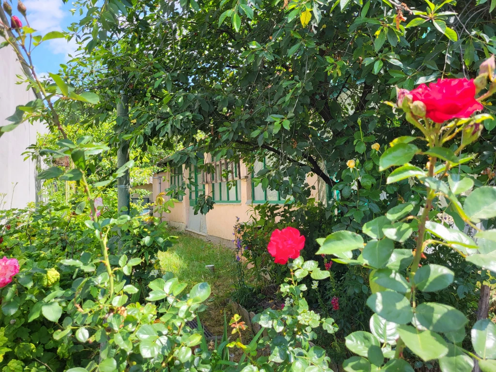 Szob, Somogyi Béla utca környéke, 56 m²-es, családi ház, 2 szobás