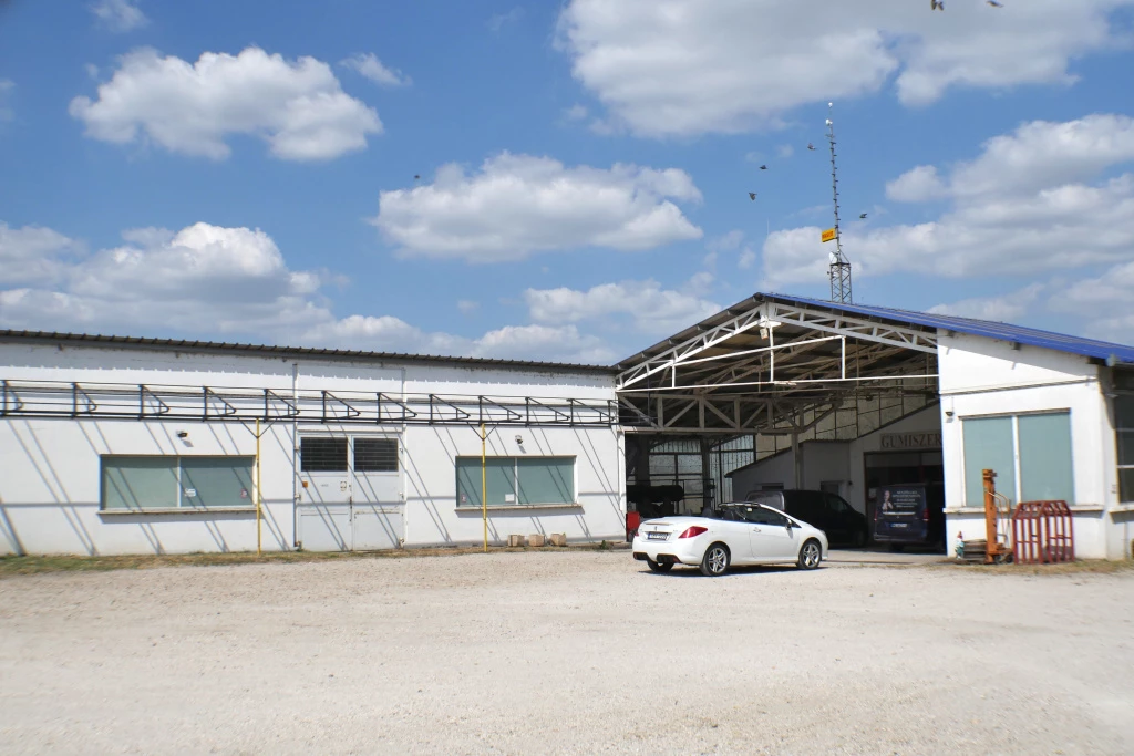 Dömsöd, gumis tanya, 1065 m²-es, egyéb üzlethelyiség, átlagos állapotú