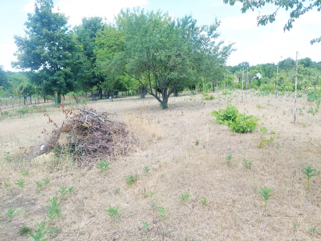 Jászberény, Neszür 7 dűlő, 2081 m²-es, telek