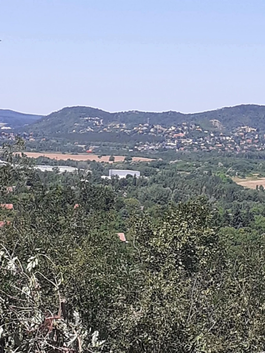 Törökbálint, Zöldfa köz, 926 m²-es, telek