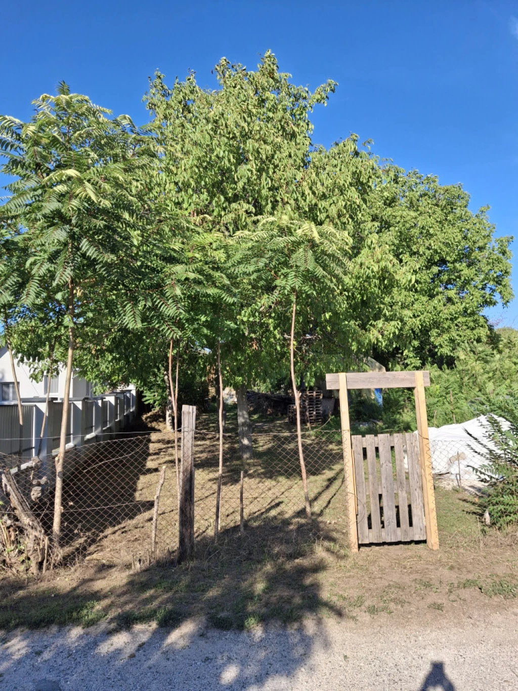 For sale building plot, Budapest XVI. kerület, Ilonatelep