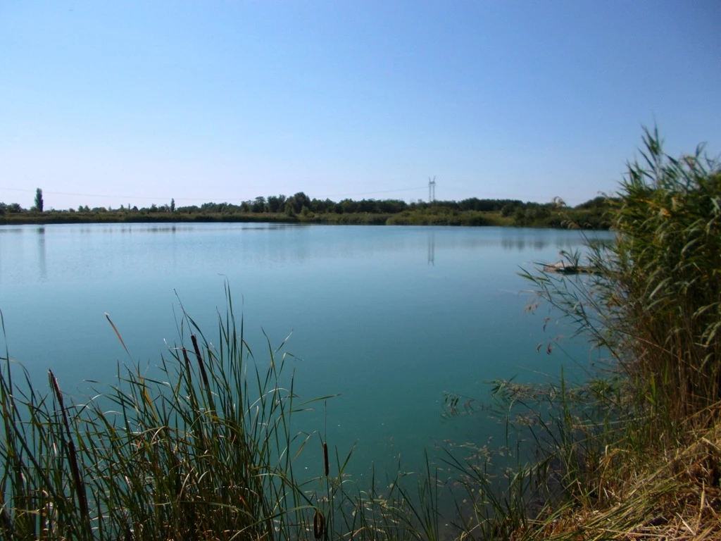 Délegyháza, Robinson park közeli, 145765 m²-es, telek