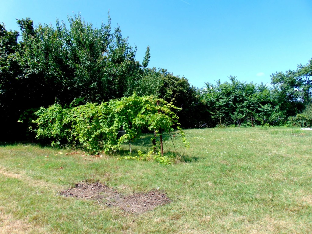 Tordas, Szabadság utca, 2584 m²-es, telek