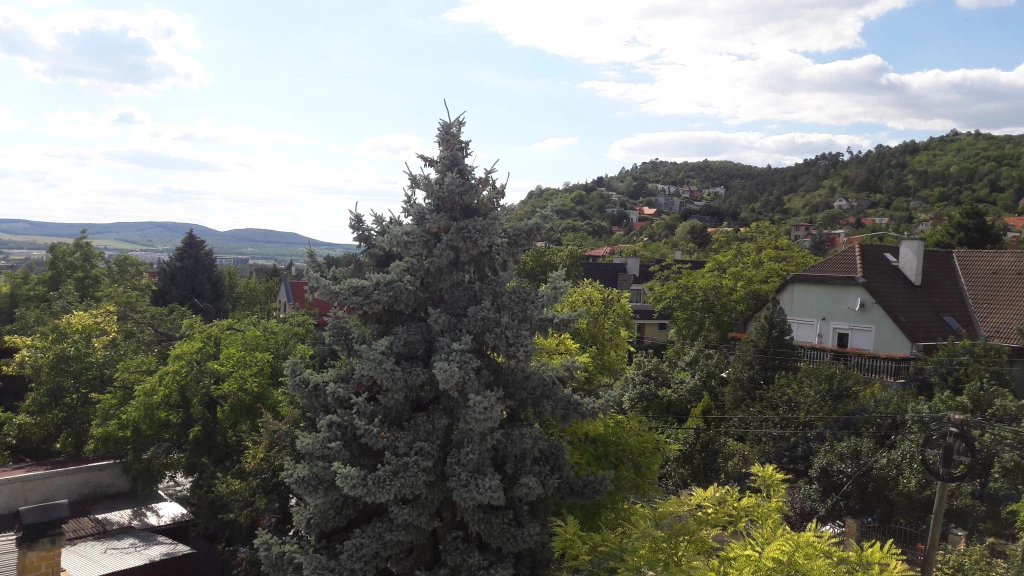 For rent condominium, Budaörs, Törökugrató utca