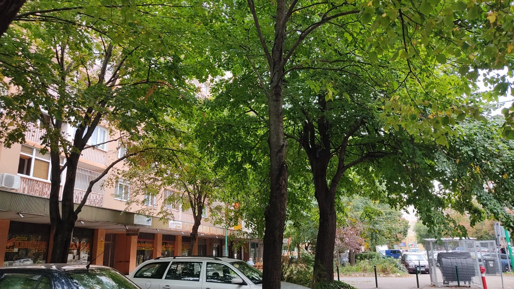 For sale condominium, Dunaújváros, Római körút