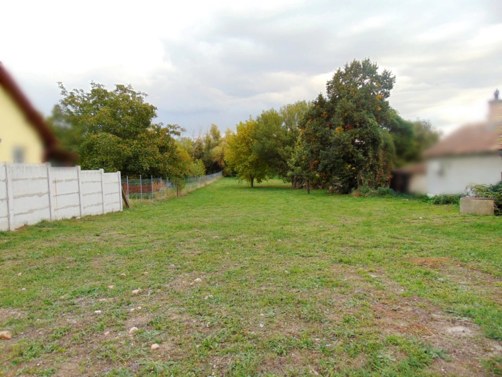 c3-1-name c2-50-name, Pákozd, Csendes utca