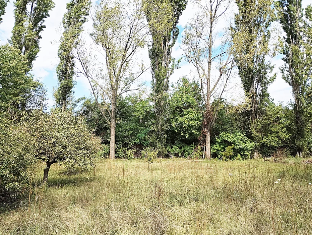 c3-1-name c2-1-name, Biatorbágy, Füzes patak közelében utca