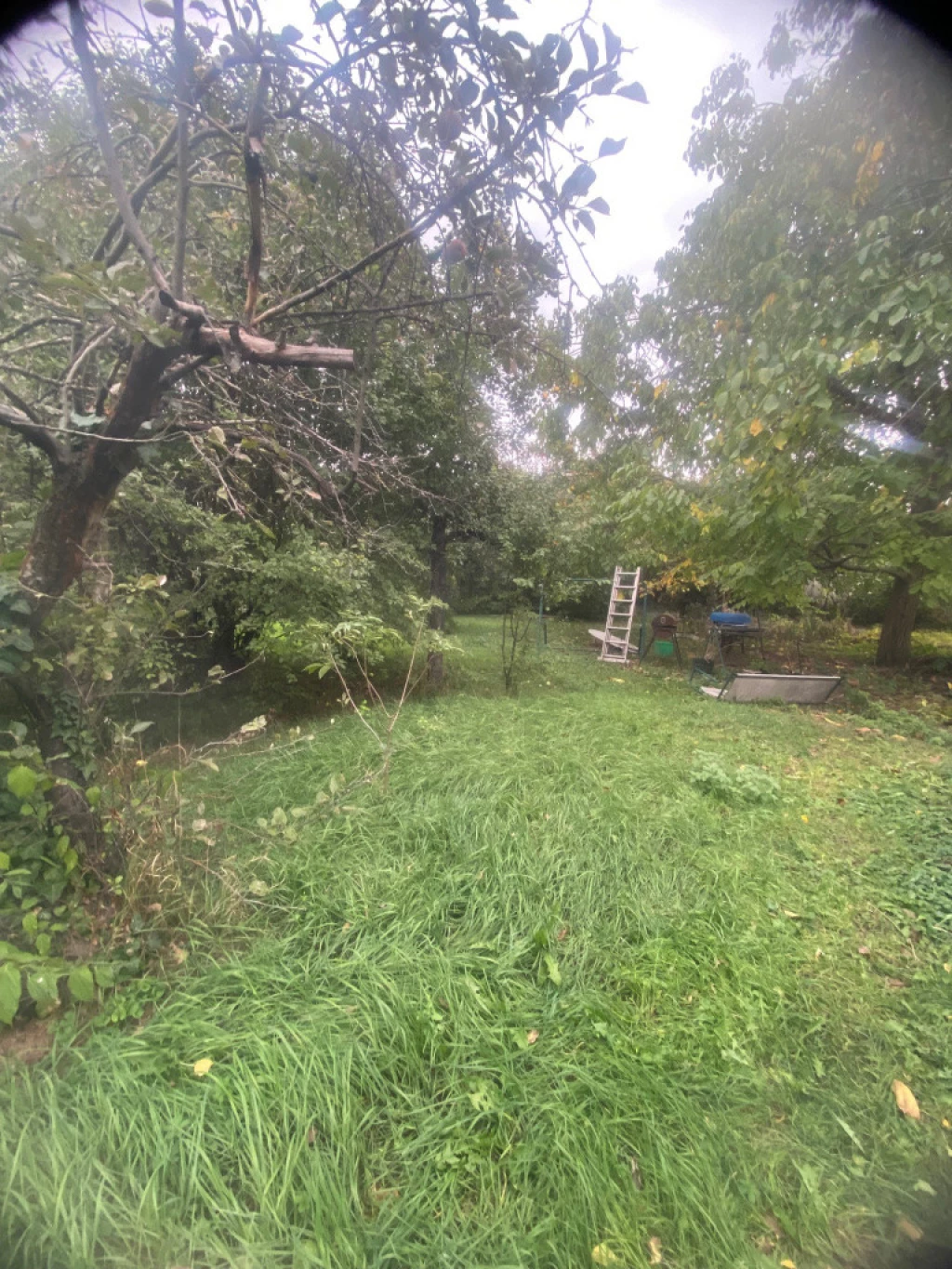 For sale building plot, Budapest XV. kerület, Pázmány Péter utca