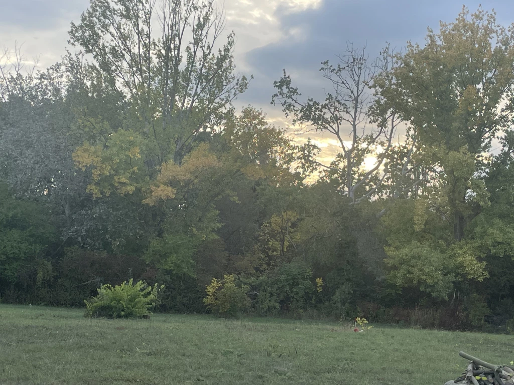 c3-1-name c2-50-name, Agárd, Agárd utca