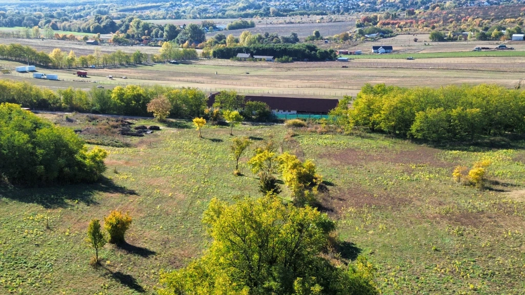 Őrbottyán, nincs utca, 11091 m²-es, telek