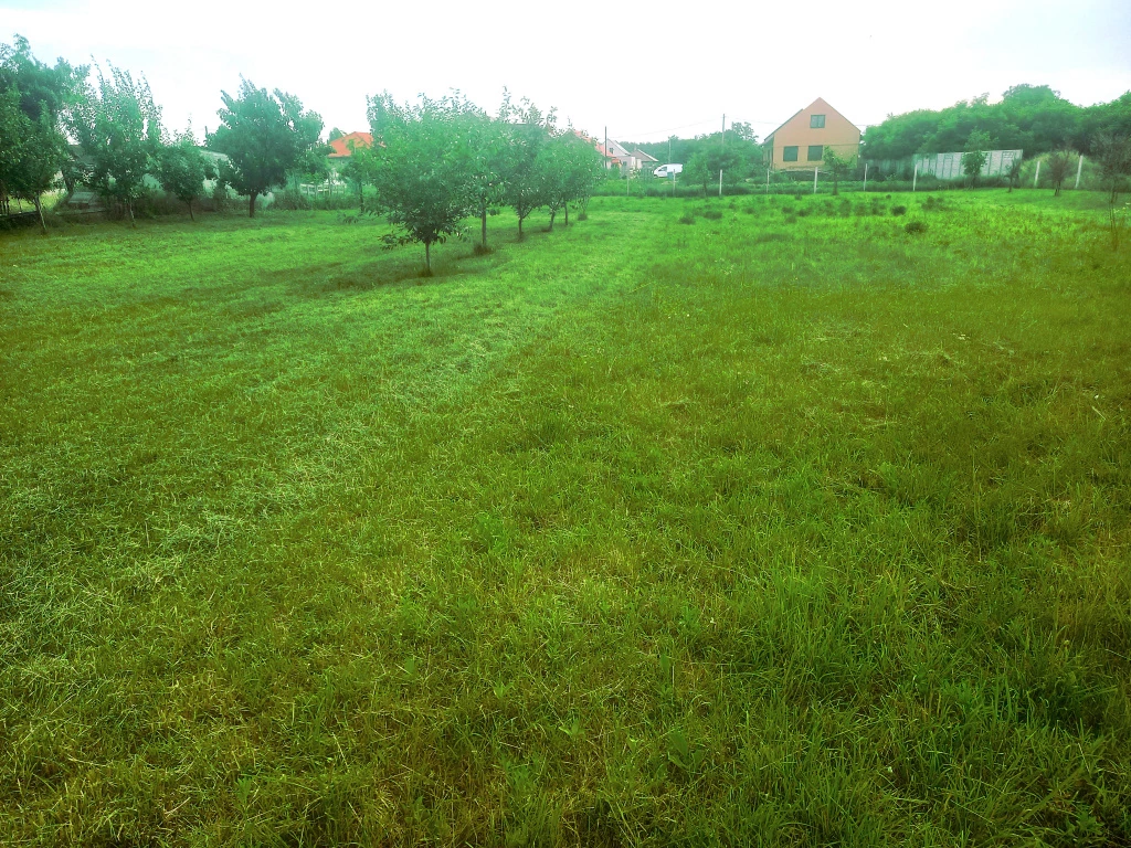 Inárcs, M5-ös autópálya közelében, 2392 m²-es, telek