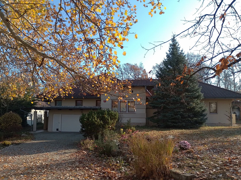 c3-1-name c2-1-name, Mogyoród, Szentjakab park