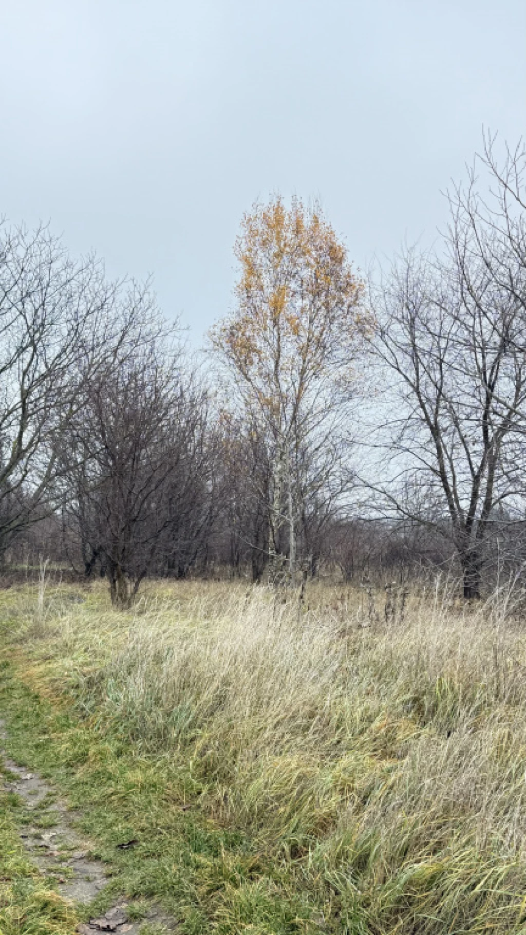 For sale building plot, Budapest XVII. kerület, Kopolya utca