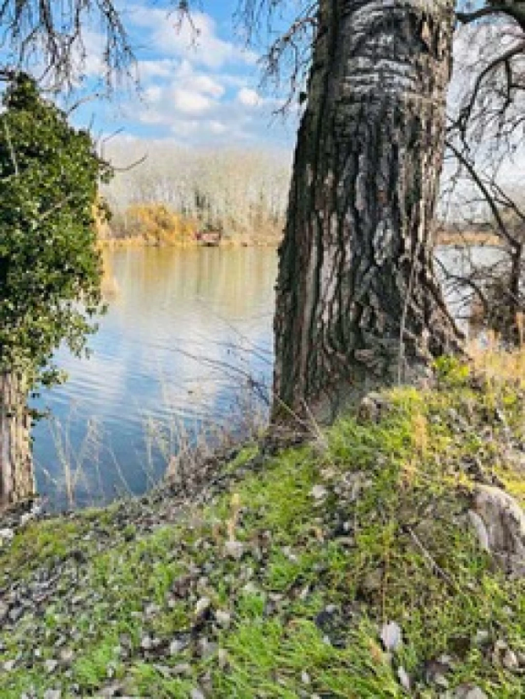 Szigetcsép, Dunasor közeli utca, 683 m²-es, telek