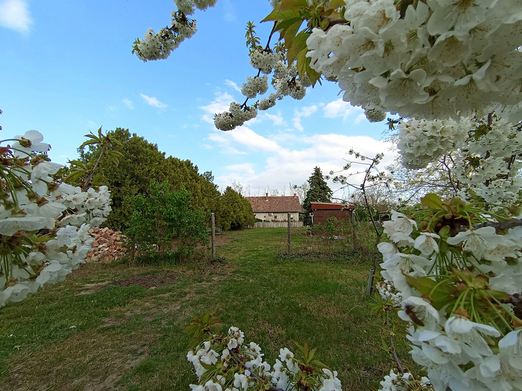 c3-1-name c2-1-name, Budapest XVII. kerület, Rózsahegy utca