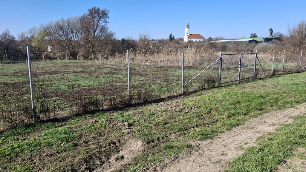 Csajág, Patak közelében, 1000 m²-es, telek