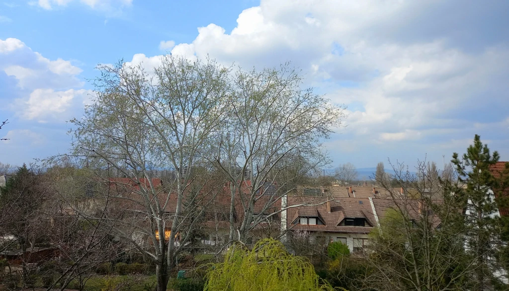 Dunakeszi, Madách lakópark, 90 m²-es, társasházi lakás, 4 szobás