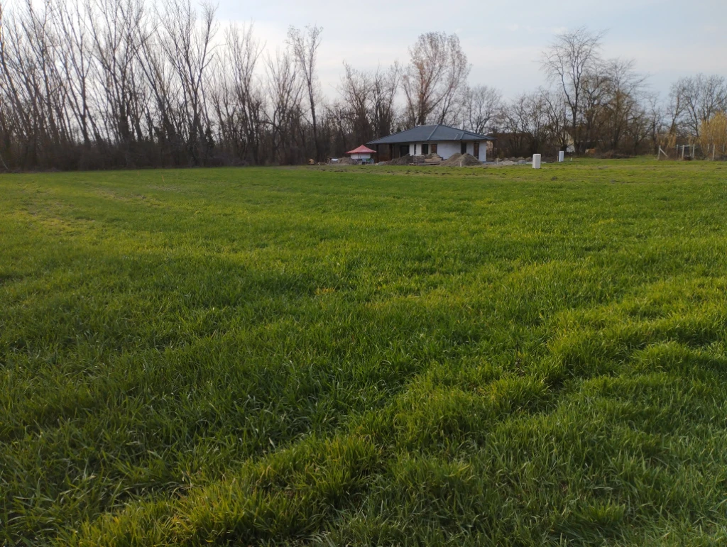 Áporka, Petőfi utca, 950 m²-es, telek