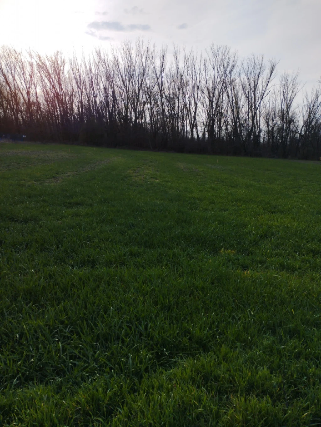 Áporka, Petőfi utca, 796 m²-es, telek