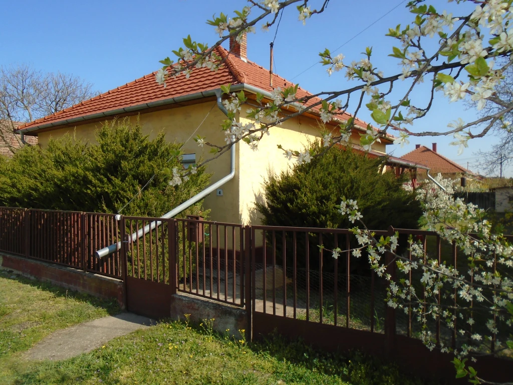 c3-1-name c2-1-name, Tiszakécske, Gábor Áron utca