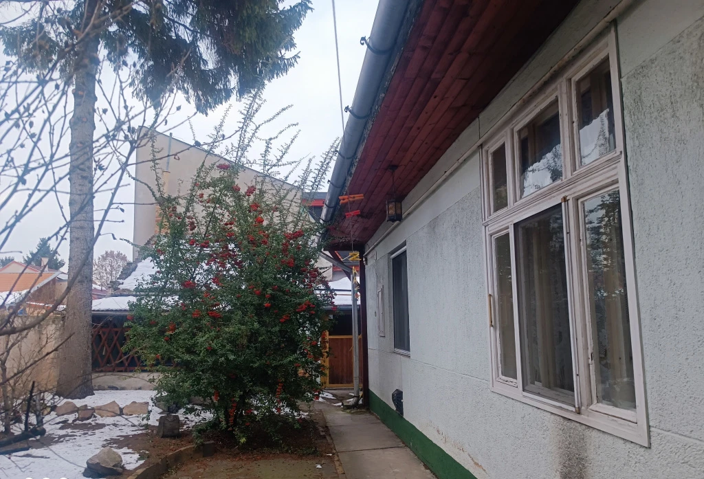 c3-1-name c2-1-name, Budapest XX. kerület, Lázár utca