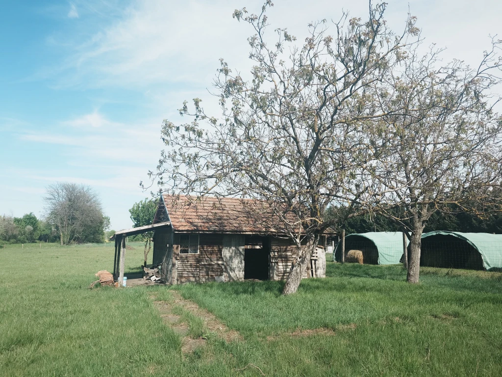 Gárdony, Géza fejedelem utca, 4521 m²-es, telek