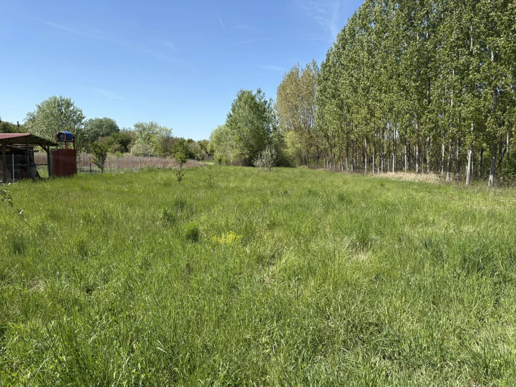 Dömsöd, Vadvirág utca, 1719 m²-es, telek