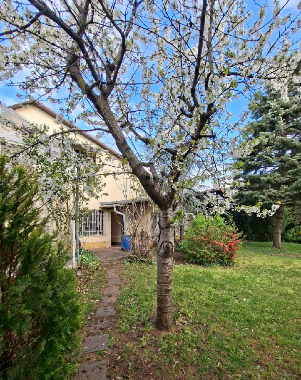 XVIII. Kerület, Ráday Gedeon utca, 144 m²-es, családi ház, 4 szobás