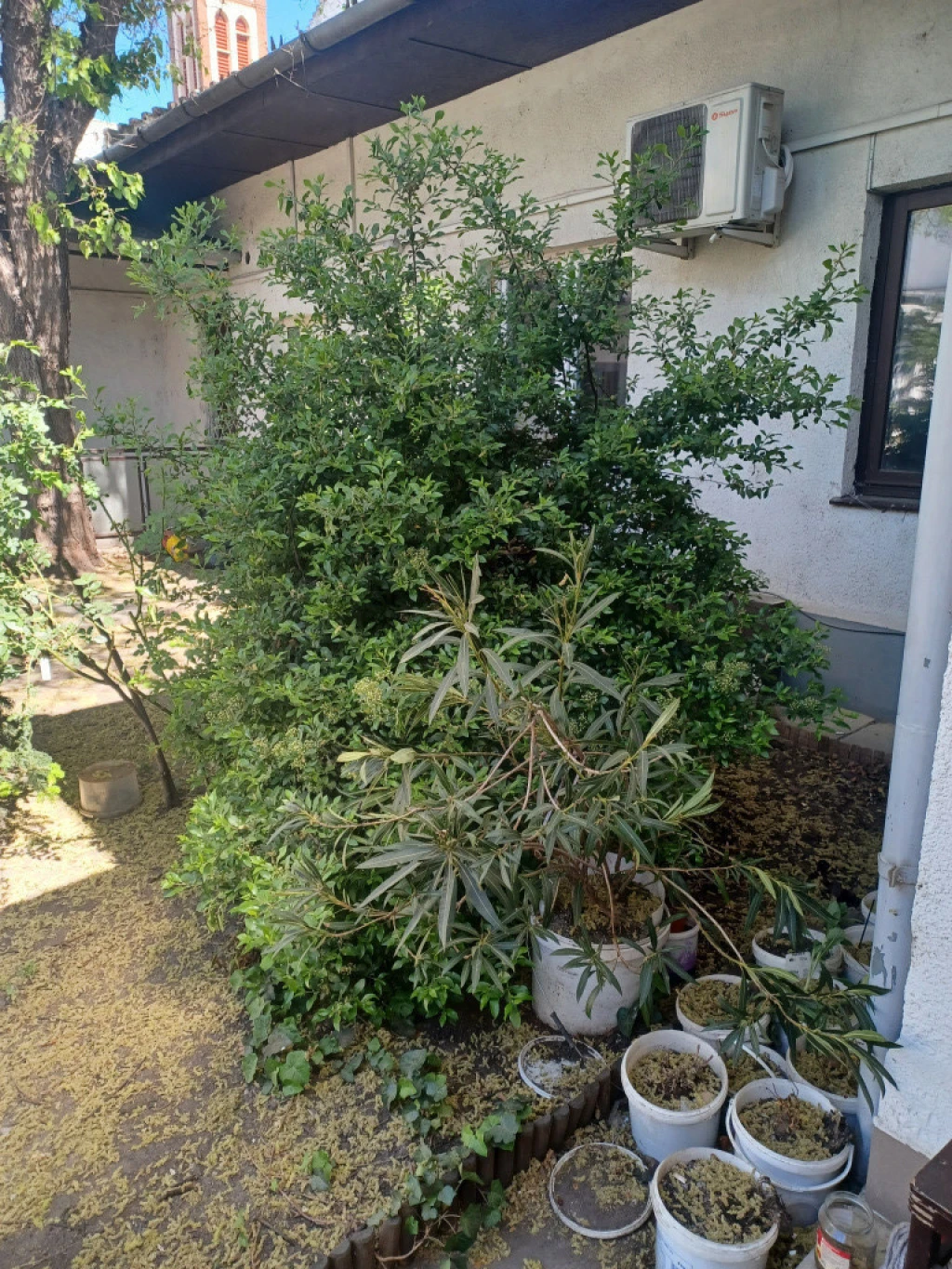 XX. Kerület, Szent Erzsébet tér, 27 m²-es, társasházi lakás, 1 szobás