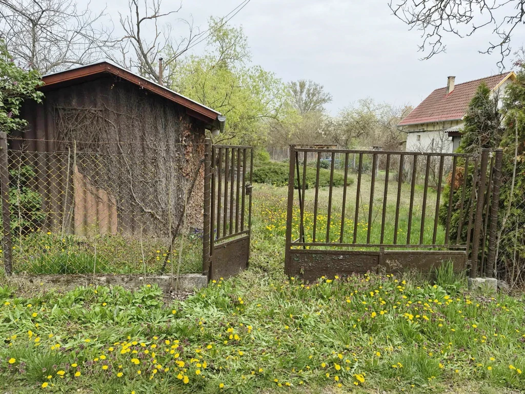 c3-1-name c2-50-name, Tóalmás, Diófa dűlő
