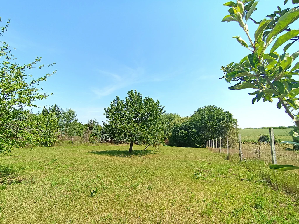 XVII. Kerület, Mezőőr utca, 975 m²-es, telek