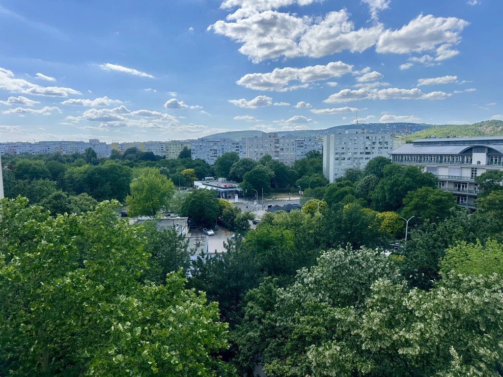 XI. Kerület, Bikás-park, 50 m²-es, társasházi lakás, 2 szobás