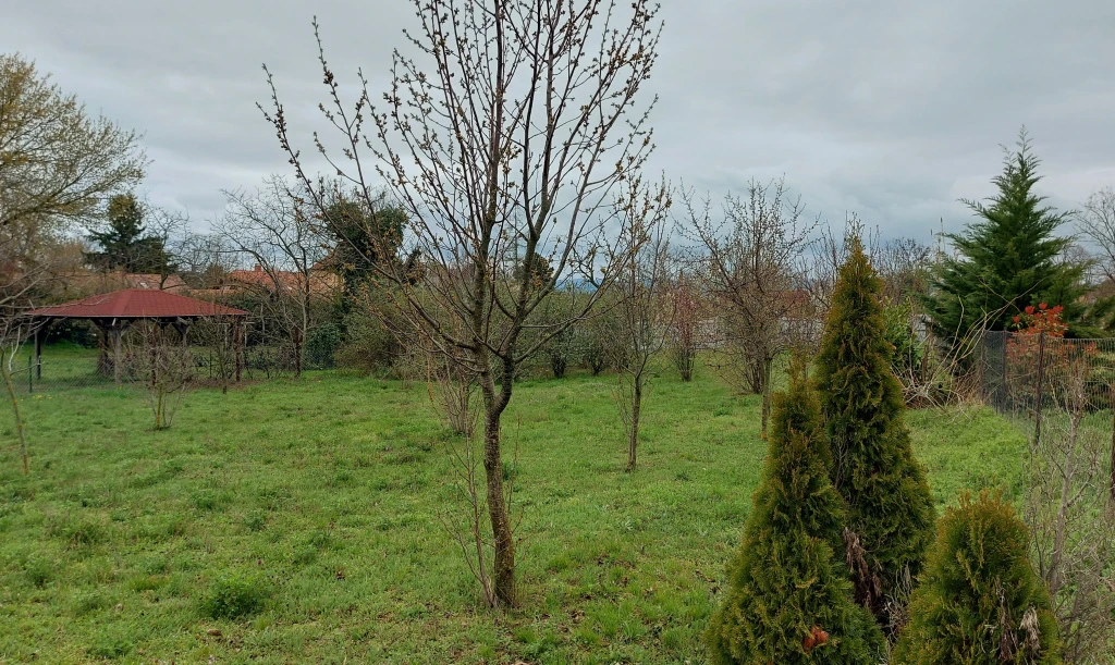 Zamárdi, Ófalu utca, 1300 m²-es, telek