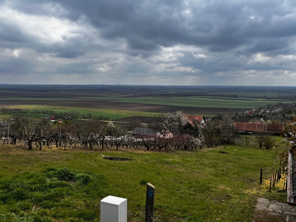 Pázmánd, Boros dűlő utca, 1000 m²-es, telek