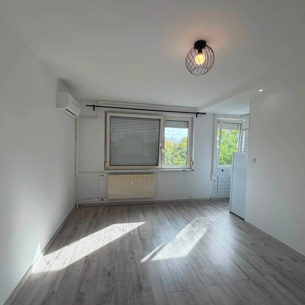 XVII. Kerület, Borsó utca, 27 m²-es, társasházi lakás, 1 szobás