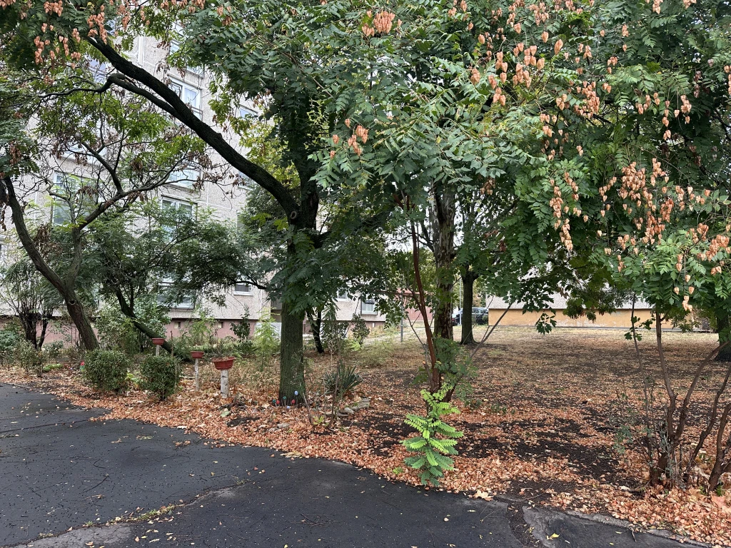 X. Kerület, Noszlopy utca, 59 m²-es, társasházi lakás, 3 szobás