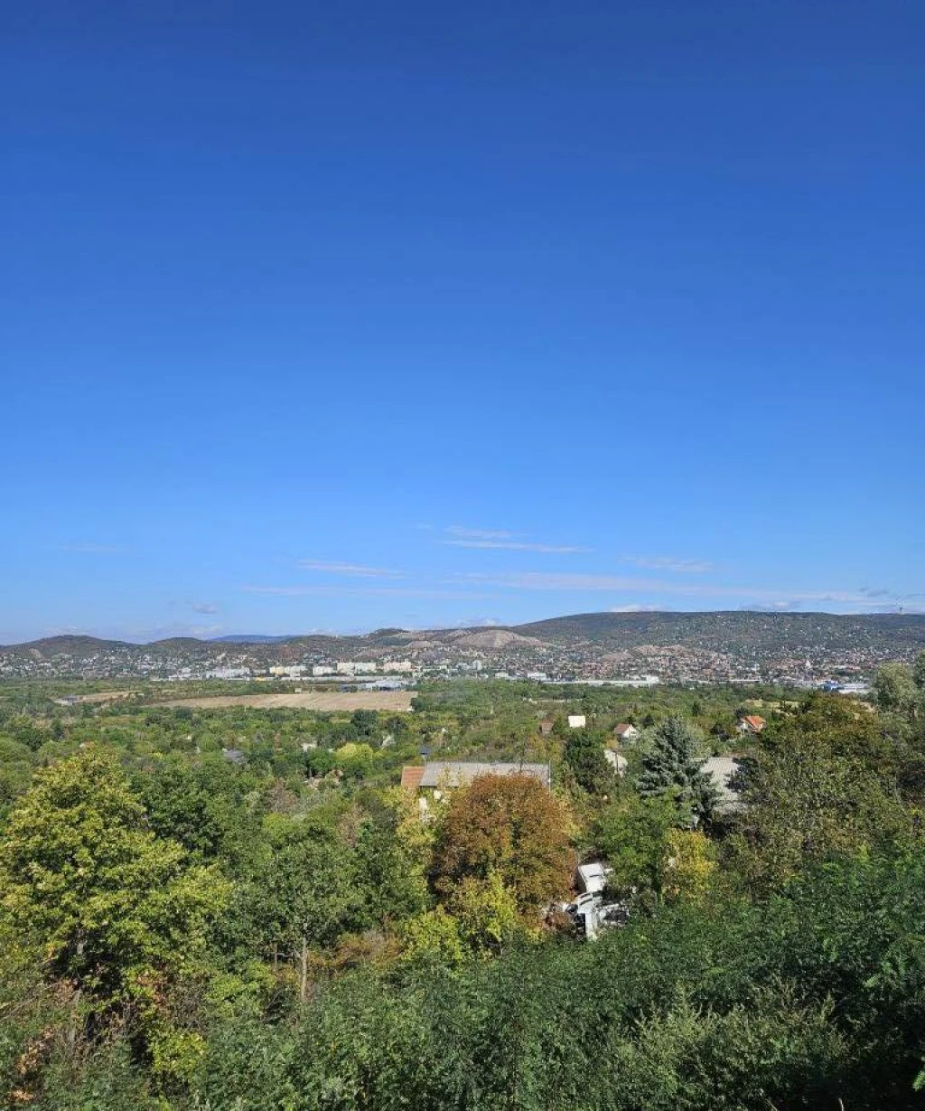 Törökbálint, Zöldfa köz, 1302 m²-es, telek