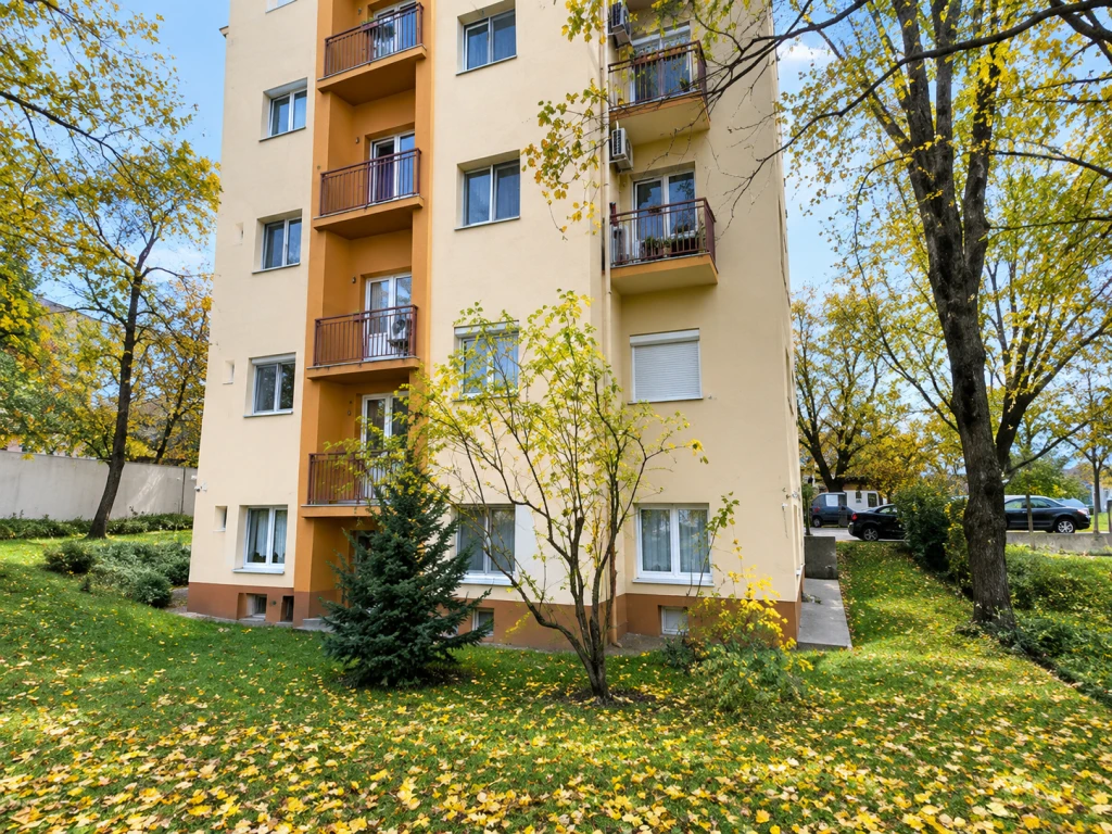 XIV. Kerület, Szikszó park, 36 m²-es, társasházi lakás, 1 szobás