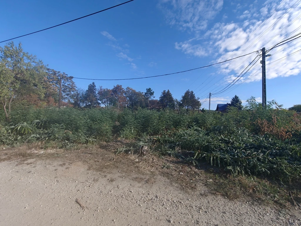 III. Kerület, Ürömfű utca, 1000 m²-es, telek