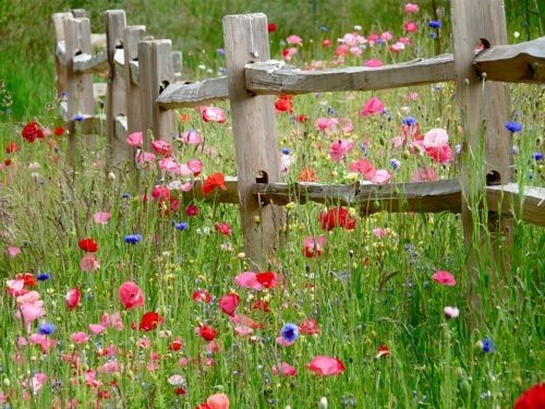 Eladó építési telek, Nyíregyháza