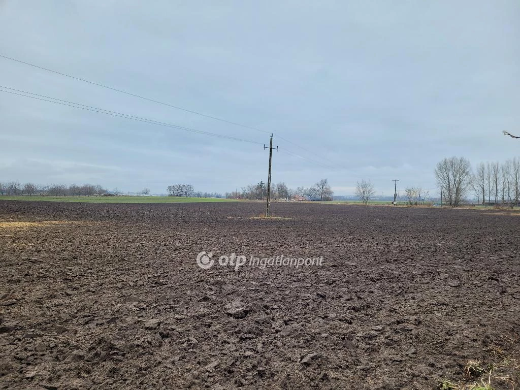 For sale plough-land, pasture, Jászberény, Szelei út