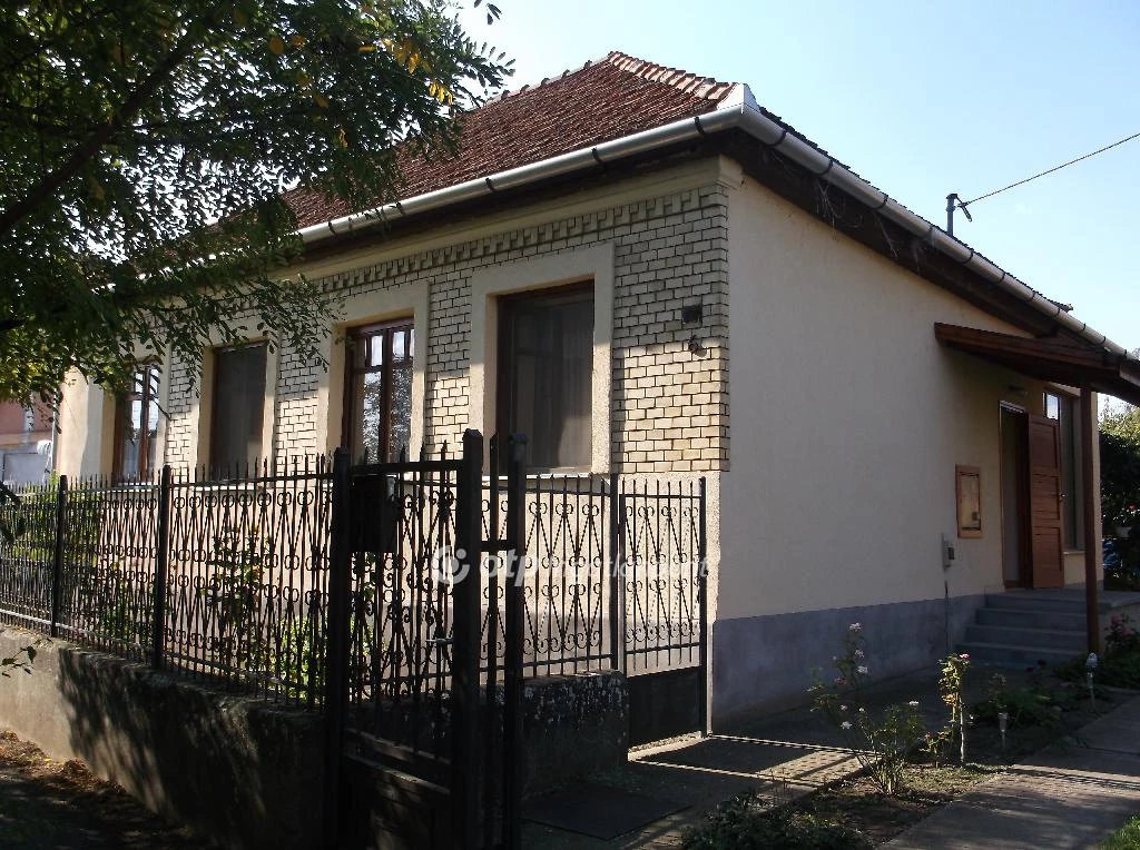 For sale house, Csány