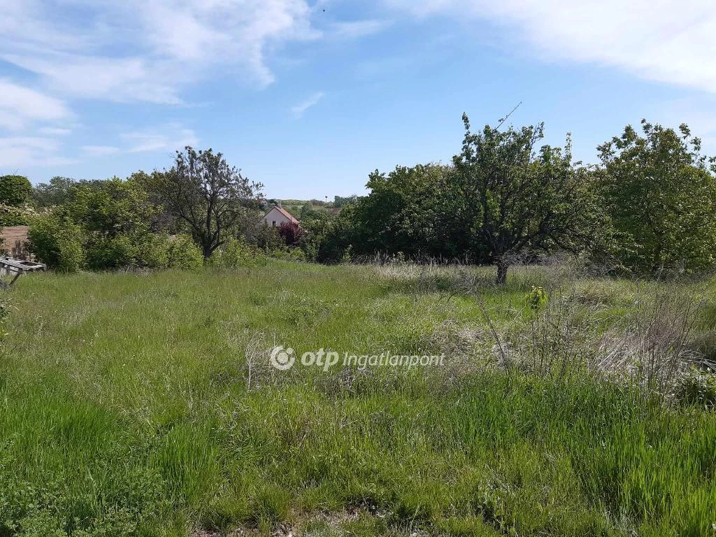 For sale building plot, Maglód